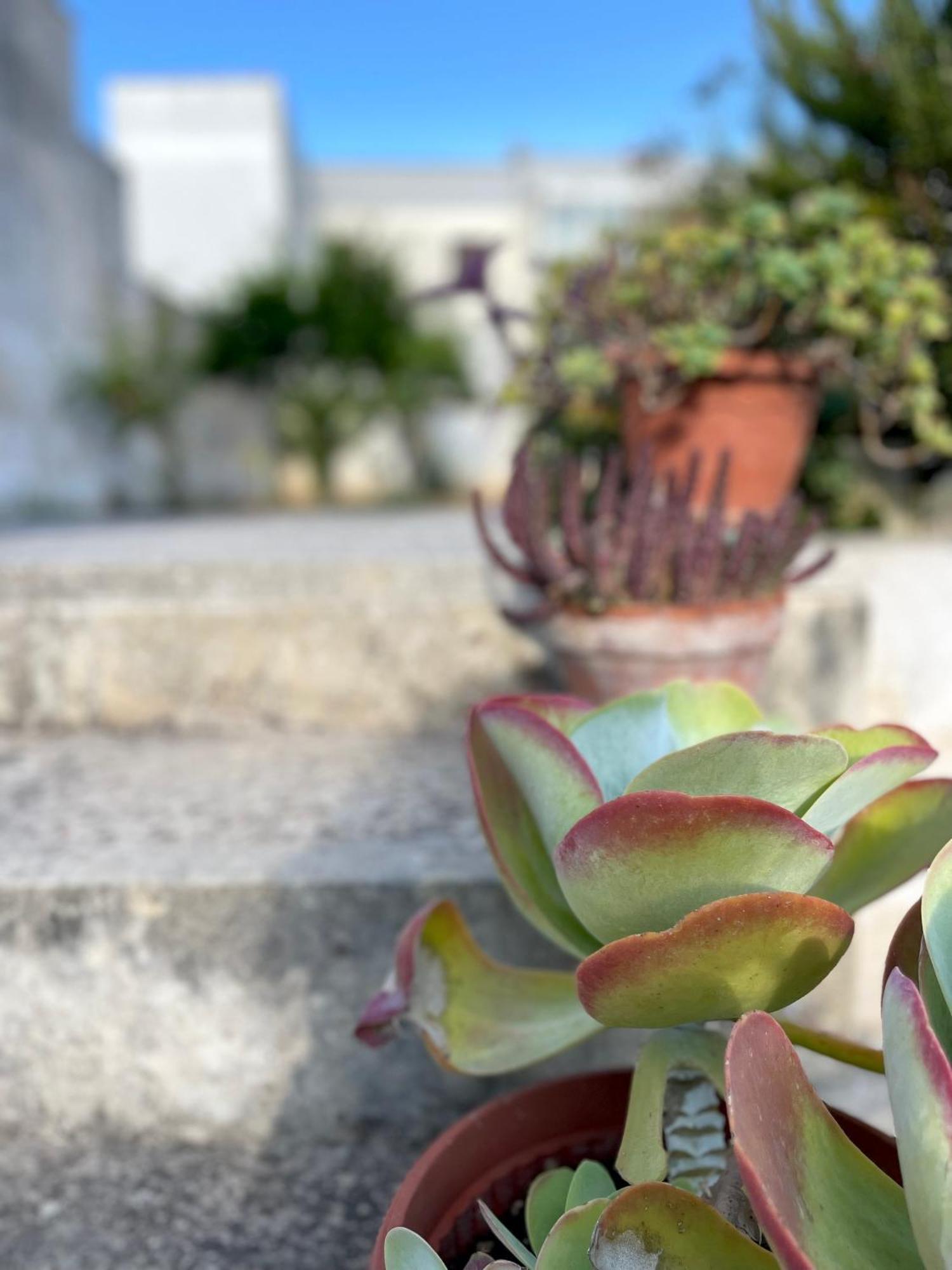 Dimora Storica San Giovanni Zollino Εξωτερικό φωτογραφία